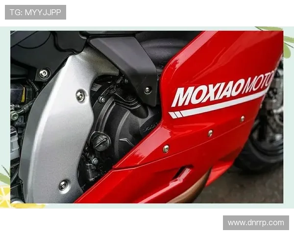 2.9万，“国产杜卡迪”摩枭500RR，你怕不怕？